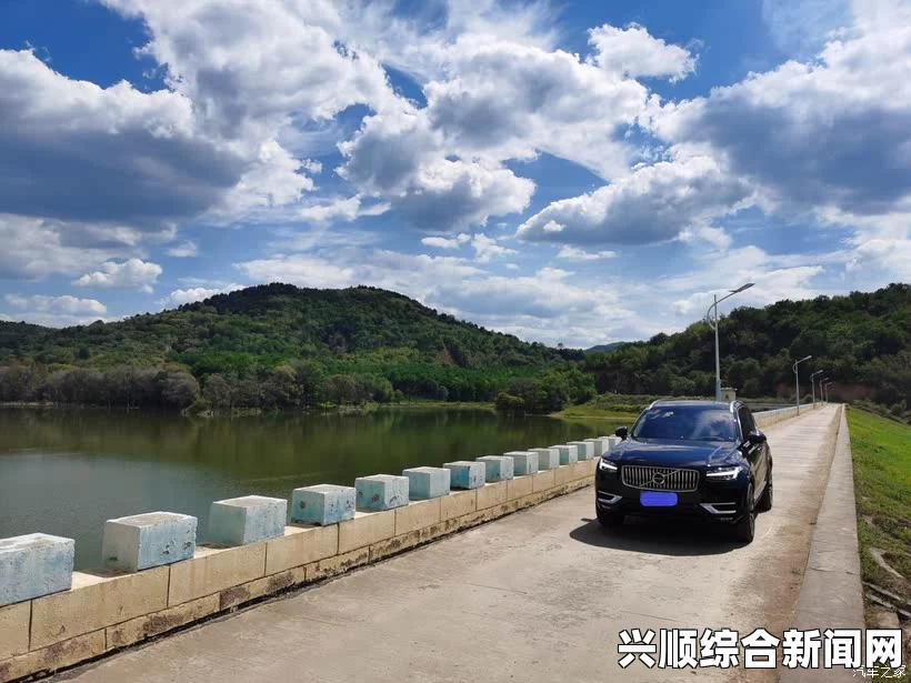 植物园科技魔打法攻略，详解技巧与策略