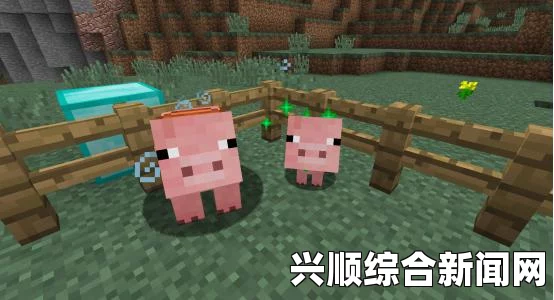 我的世界，迅捷药水制作指南与详解