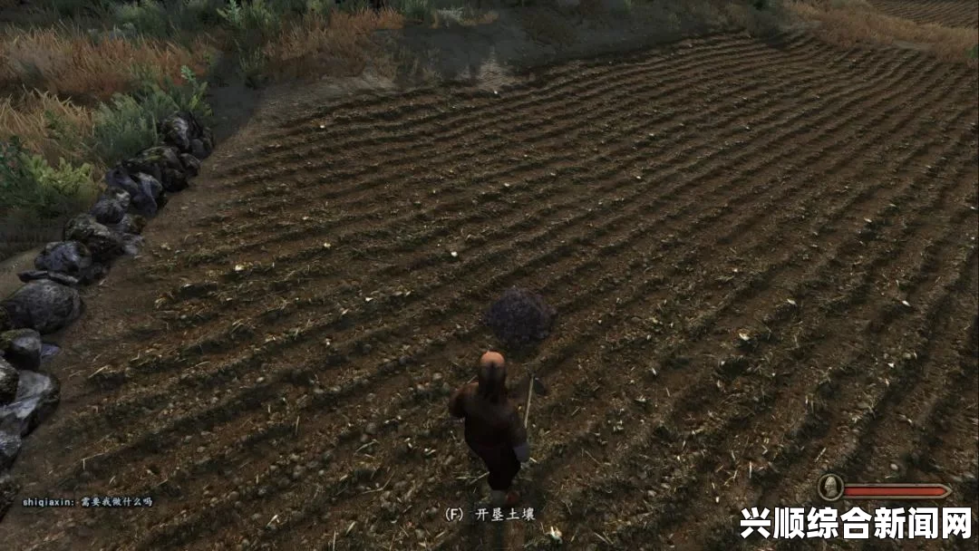 剑士种地的种子获取方法
