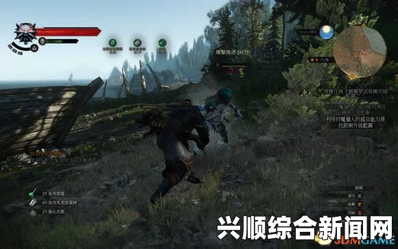 巫师3狂猎，极致输出解析