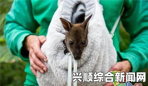 巴西袋鼠爸爸疗法，全家参与护理，共同守护健康之路