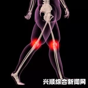 剑士伤势缓解秘籍，专业治疗指南