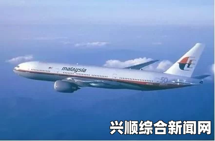MH370失联事件揭秘，英国空难调查处如何确认飞机坠入南印度洋的技术分析揭秘