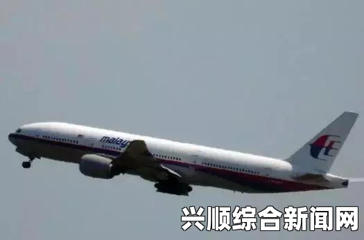 英媒报道，马航MH370航班遭遇蓄意劫持，疑似自杀事件
