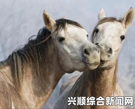 泰拉瑞亚独角兽坐骑获取攻略