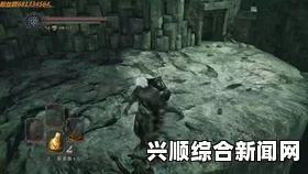 黑暗之魂2原罪学者，鼠王墓地洛丝之石的用法图解分享