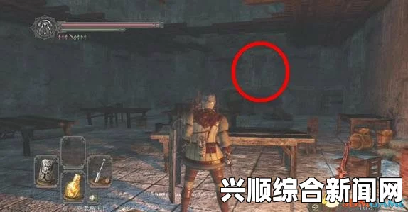 黑暗之魂2原罪学者，鼠王墓地洛丝之石的用法图解分享