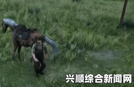 荒野大镖客2ol什么马好用