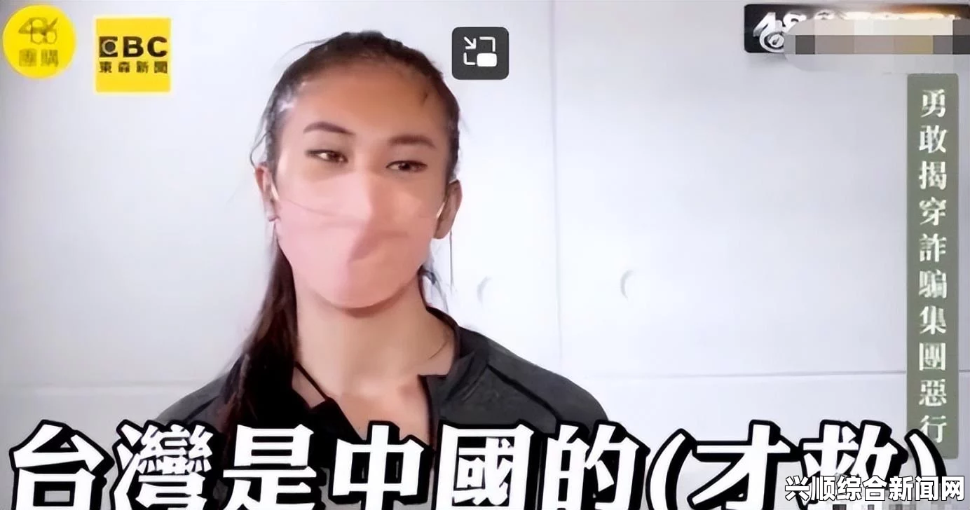 关于中国籍男子在柬埔寨因当街打架谩骂警察被扣留的事件分析