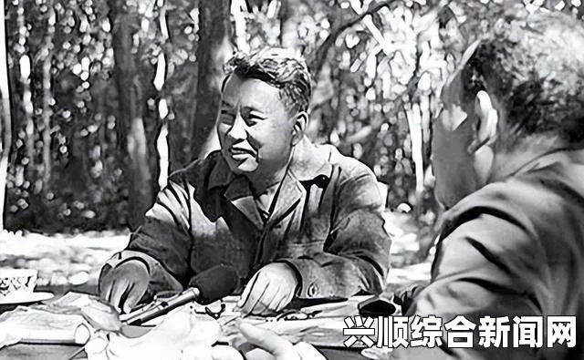 关于中国籍男子在柬埔寨因当街打架谩骂警察被扣留的事件分析