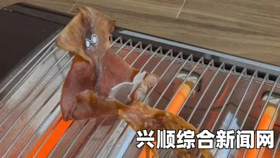 日本渔民捕获罕见巨型鱿鱼，长达四米，体重达五十斤
