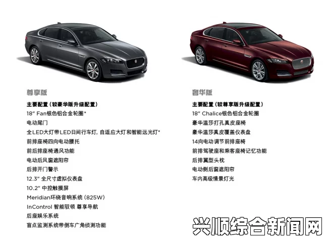 一、标准版与豪华版