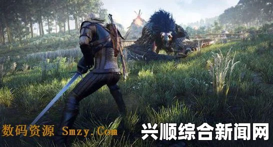 巫师3狂猎高难度挑战模式MOD与巫师3硬核模式MOD分享
