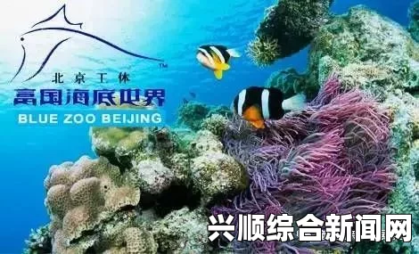 俄罗斯蓝鲸游戏脊背发凉之谜，深入解析50个任务指令的恐怖之处
