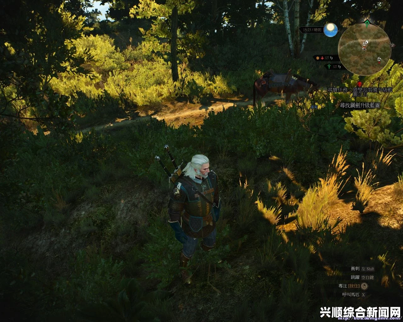 巫师3狂猎，打怪无限冰冻眩晕方法—游戏BUG探索
