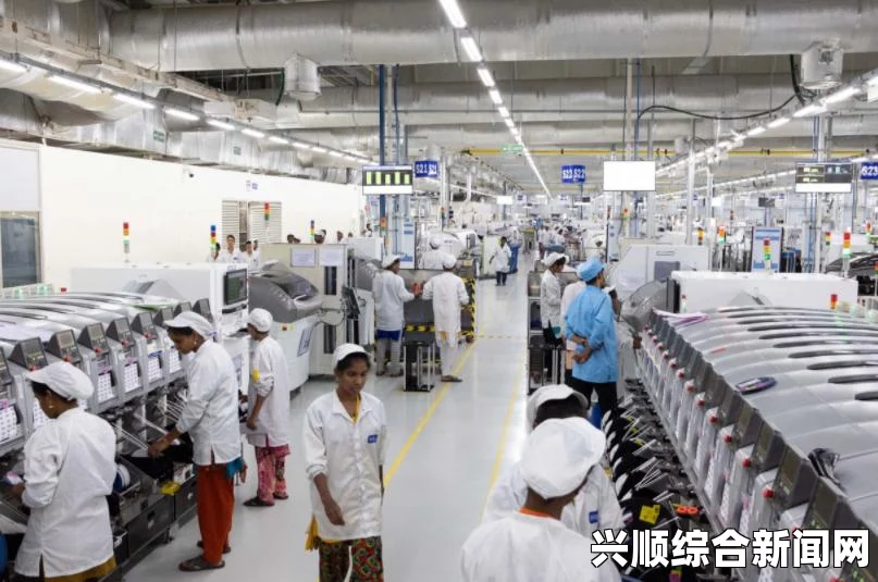 美国垃圾鱼成灾，华人巧手加工厂化废为宝
