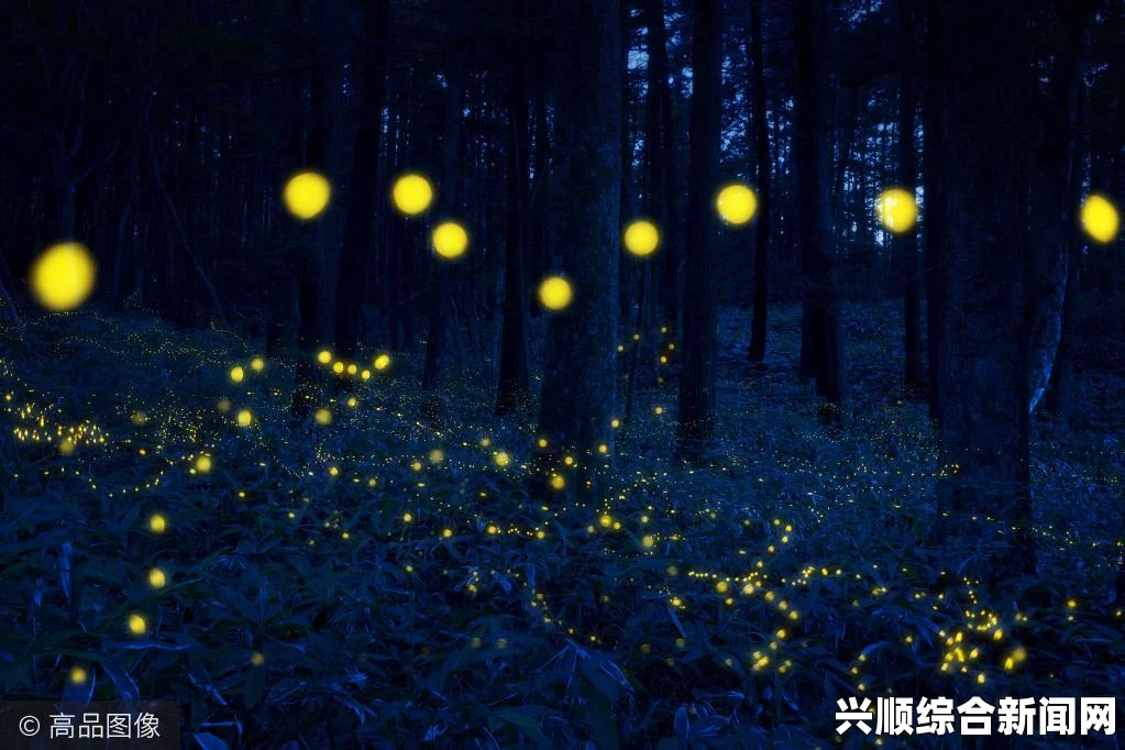 闪光急冻鸟的颜色与魅力