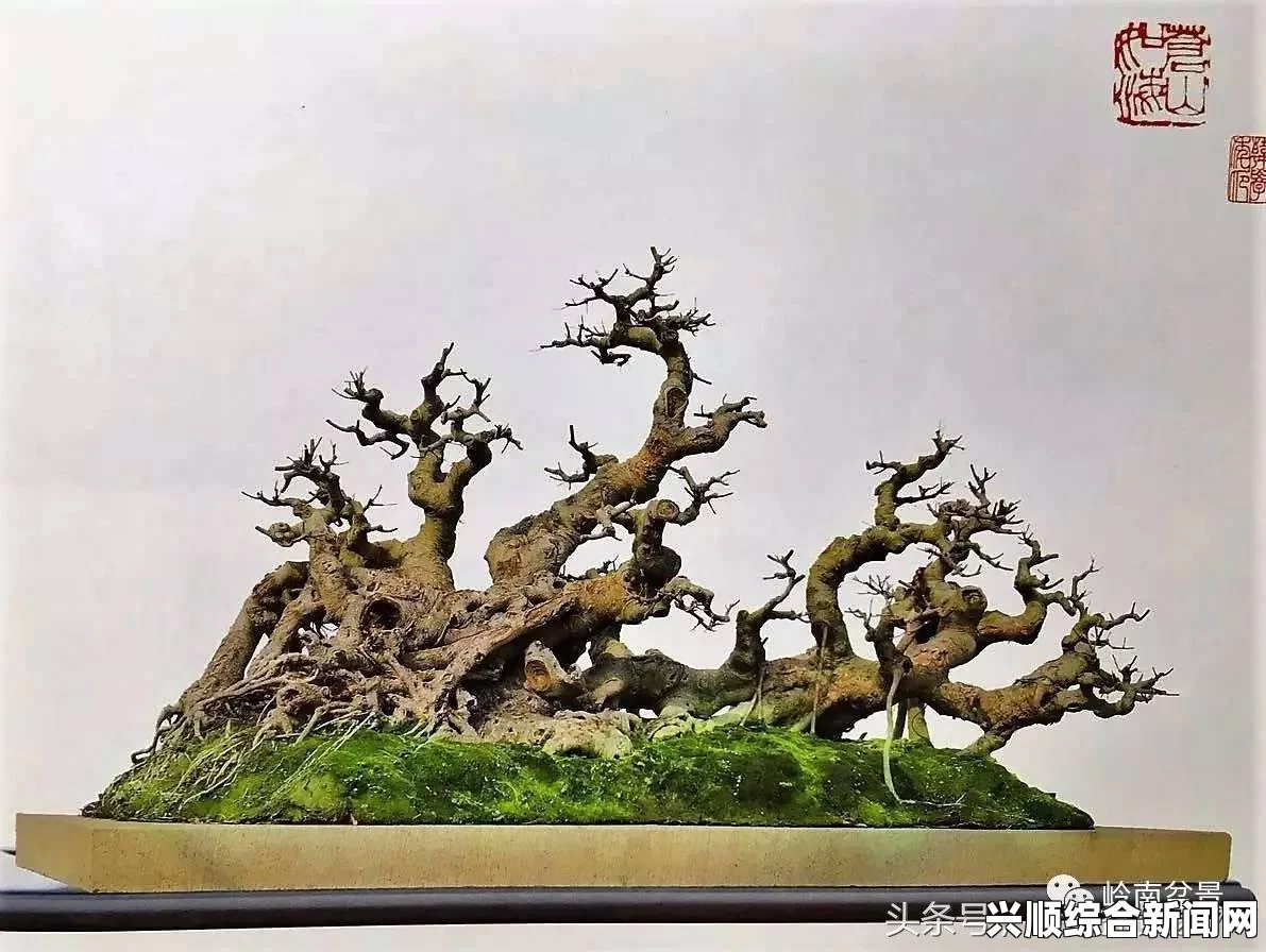 梦幻西游水激浪飞竞龙舟活动介绍