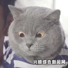 镇江一会计打赏女主播事件，挥霍890万的背后故事