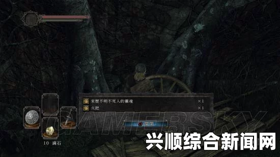 黑暗之魂2原罪学者元素碎片与贵人骨灰掉落地点一览