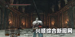 黑暗之魂2原罪学者元素碎片与贵人骨灰掉落地点一览