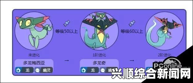 精灵宝可梦剑盾地图细节深度解析