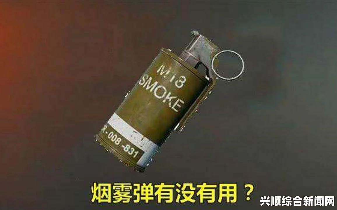 战地5烟雾弹的使用指南