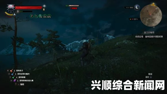 巫师3狂猎游戏攻略—自由魂支线任务详解
