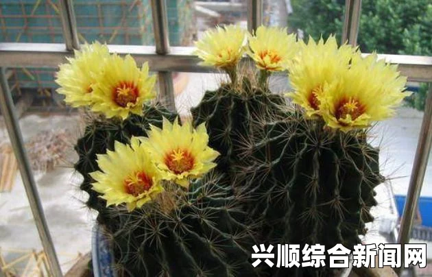 刺龙王进化之路，逐步走向强大的过程