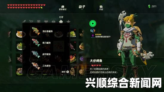 塞尔达鱼怎么抓—全面指南