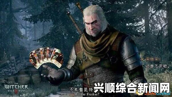 巫师3狂猎，全球昆特大师策略指南——一套卡牌挑战全球高手