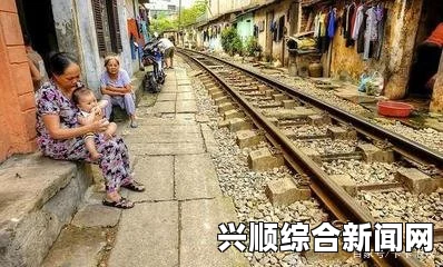 越南胡志明市及平阳省市暴力袭击中资企业事件纪实，冲击与反思