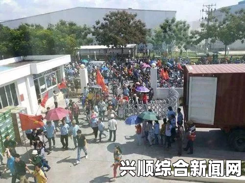 越南反华骚乱波及中资企业，警方紧急介入逮捕行动，数百人参与洗劫纵火事件