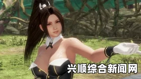 关于死或生6连段上限是多少的问题