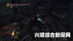 黑暗之魂2原罪学者攻略，获取王的灵魂全解析