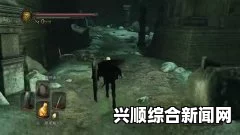 黑暗之魂2原罪学者，获得王的灵魂的指南