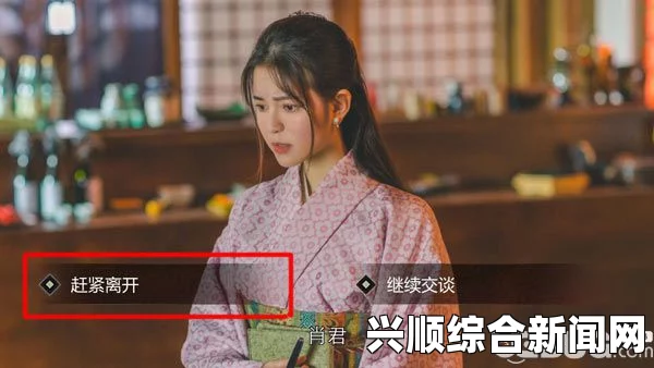 隐形守护者扶桑安魂曲结局解析与攻略心得分享