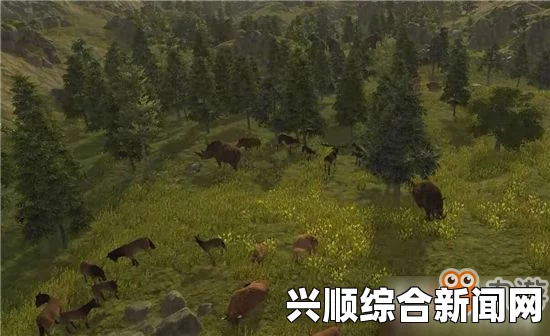 探索人类黎明，新时代的曙光与未来之路