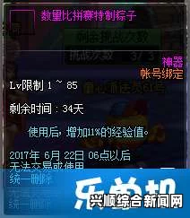 DNF数量比拼赛特制粽子礼盒使用方法