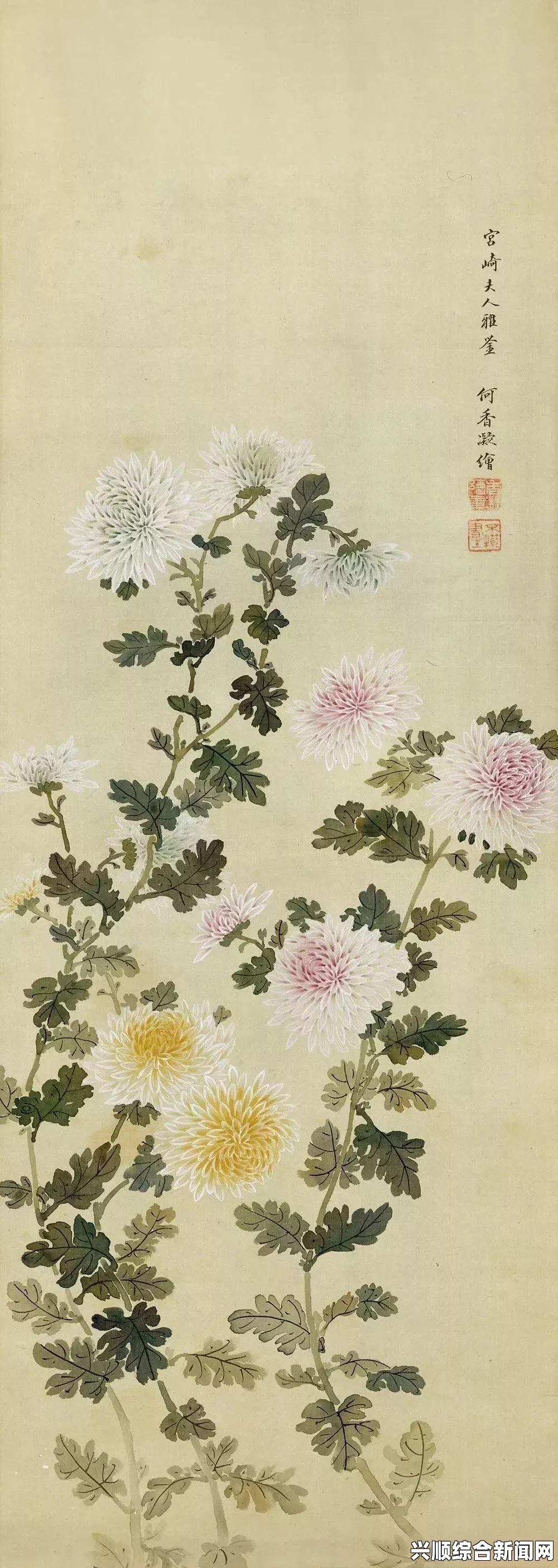 全球首只雄狮狮虎在美国成功培育，强壮非凡的跨物种奇迹