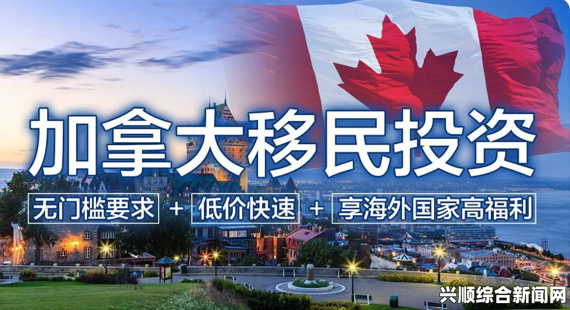 中国富豪起诉加拿大移民政策调整事件深度解析，投资移民之路的挑战与应对