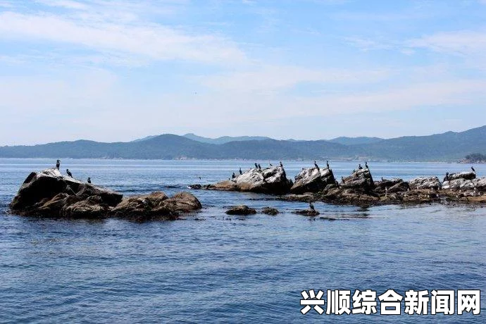 中国战机在东海两次超近距离逼近拦截日本战机，坚定捍卫国家主权与领空安全