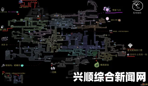 空洞骑士皇家水道地图师怎么去
