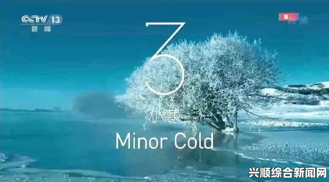 三叶草的视频：探索其神秘之美，感受生命的激情与活力