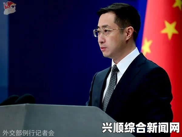 外交部呼吁保障新闻从业人员人身安全，避免悲剧再次发生