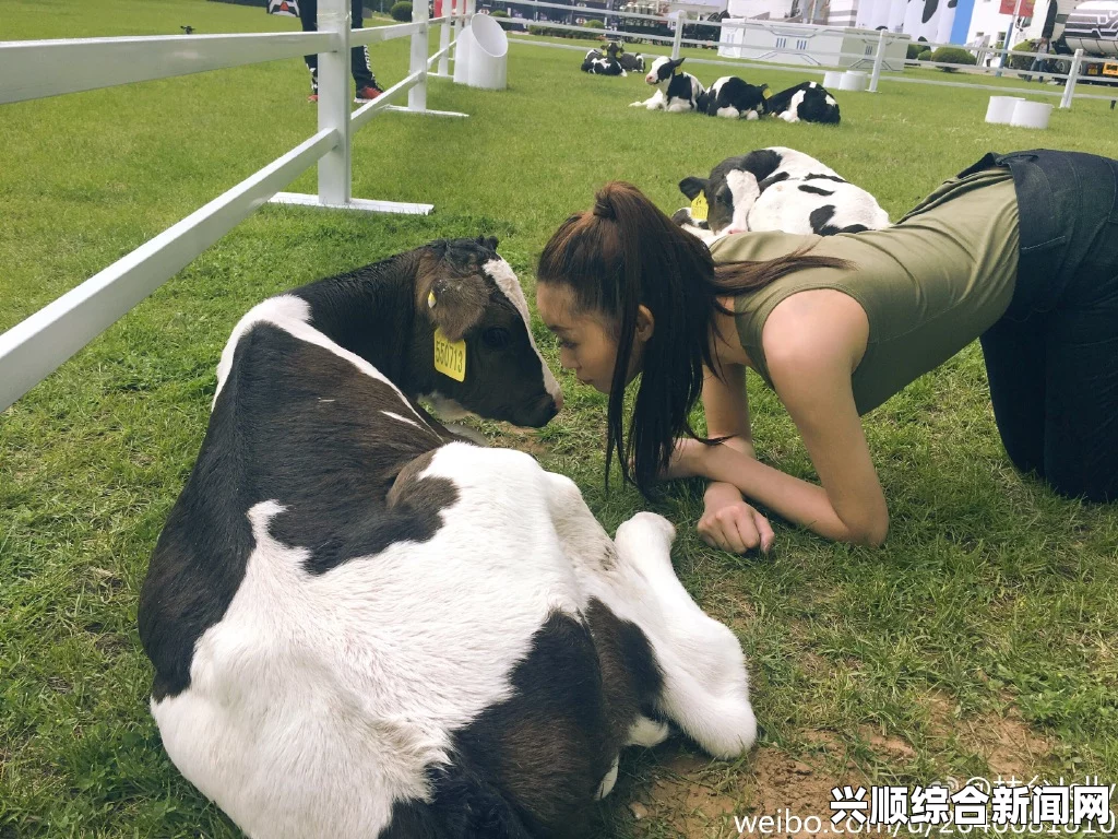 瑞士一奶牛为寻嫩草爬上屋顶，奇观景象惊呆路人