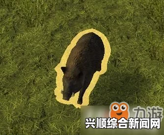 人类黎明，如何饲养更多动物的方法