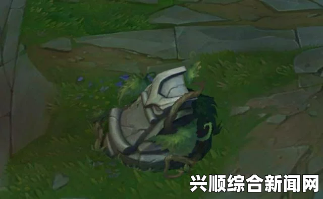 空洞骑士，白色防御者的位置