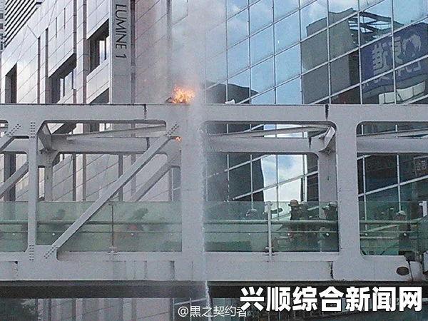 东京男子市中心自焚抗议，反对解禁集体自卫权引发社会关注（图）
