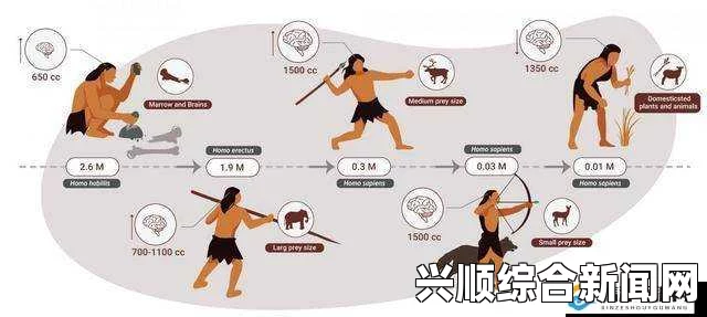 人类黎明第二时代，什么动物更适合我们？